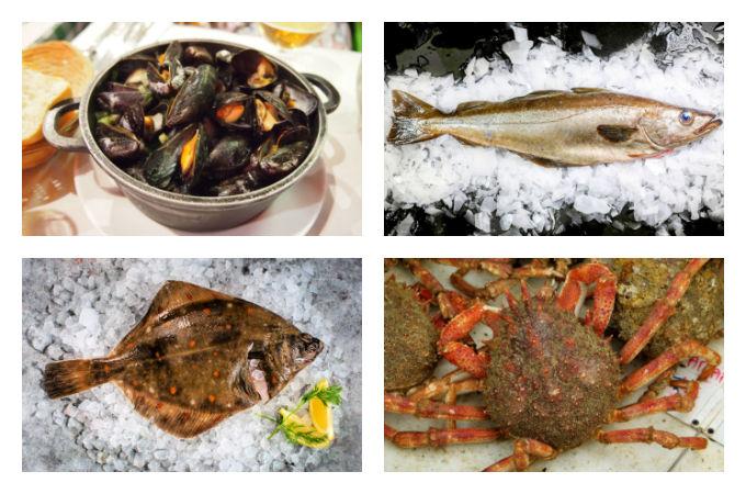 British-seasonal-fish-and-seafood-November