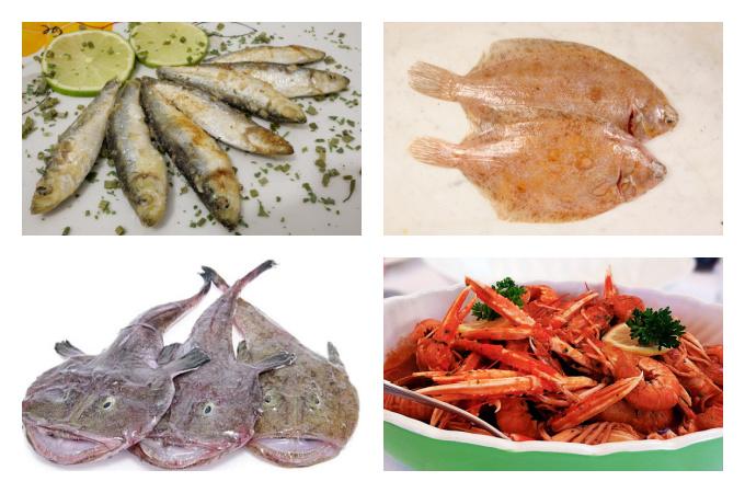 British seasonal fish shellfish and seafood in February UK