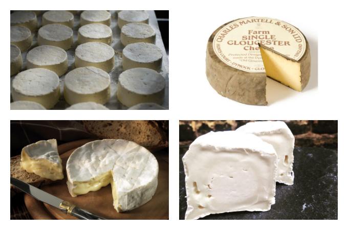 British Seasonal Food in April cheese cheeses UK and French
