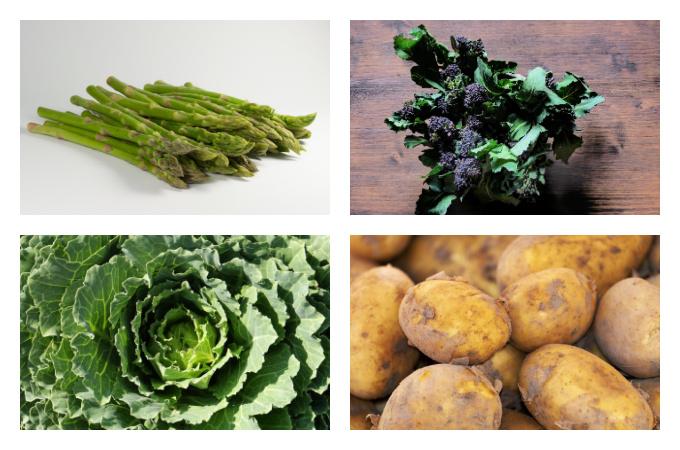 British Seasonal Food in April vegetables veg UK