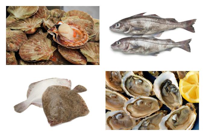 British Seasonal Food in December fish shellfish seafood UK