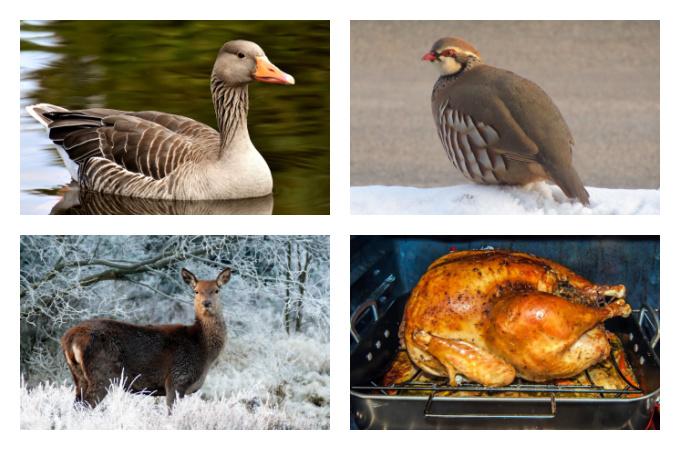British Seasonal Food in December meat game and poultry UK