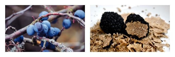 British Seasonal Food in December wild foraged food uk