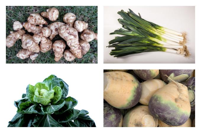 British Seasonal Food in January vegetables veg UK