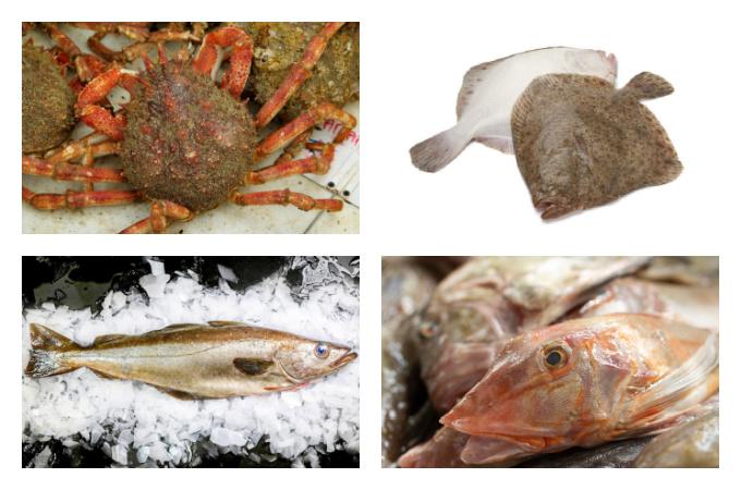 March fish shellfish seafood UK
