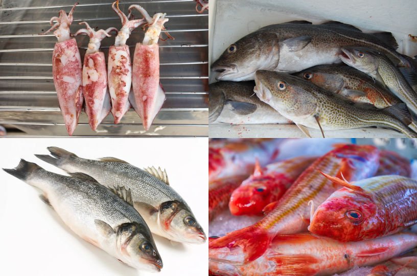 Brisih seasonal food in October UK fish seafood shellfish in season less sustainable