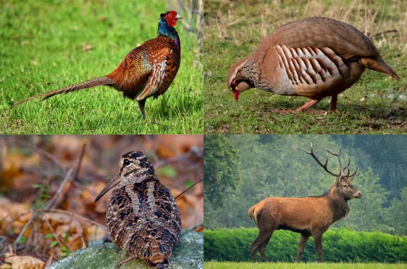 British seasonal food in October UK meat poultry game