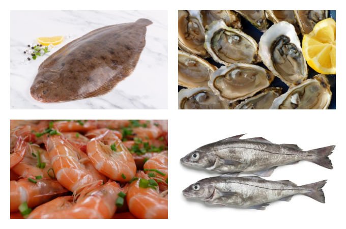 British seasonal food in September fish shellfish and seafood