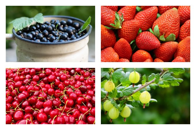 British seasonal fruit in June UK fruits in season