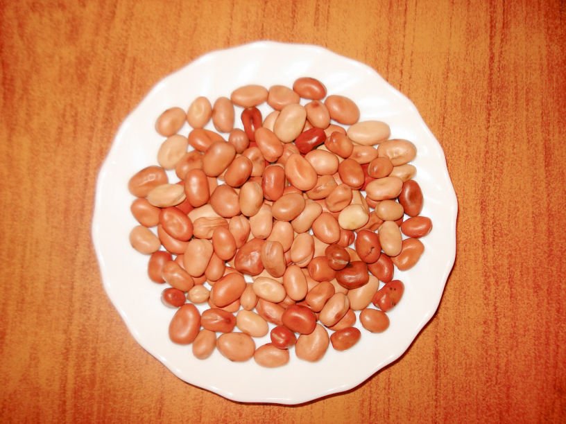 broad bean seeds to sow in November kitchen garden