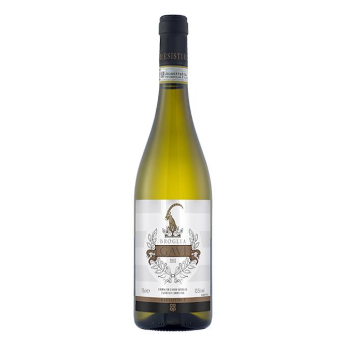 Co op Irresistible Gavi