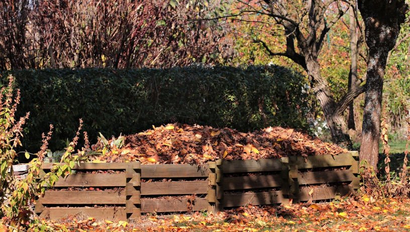 compost heap with Autumn leaves September