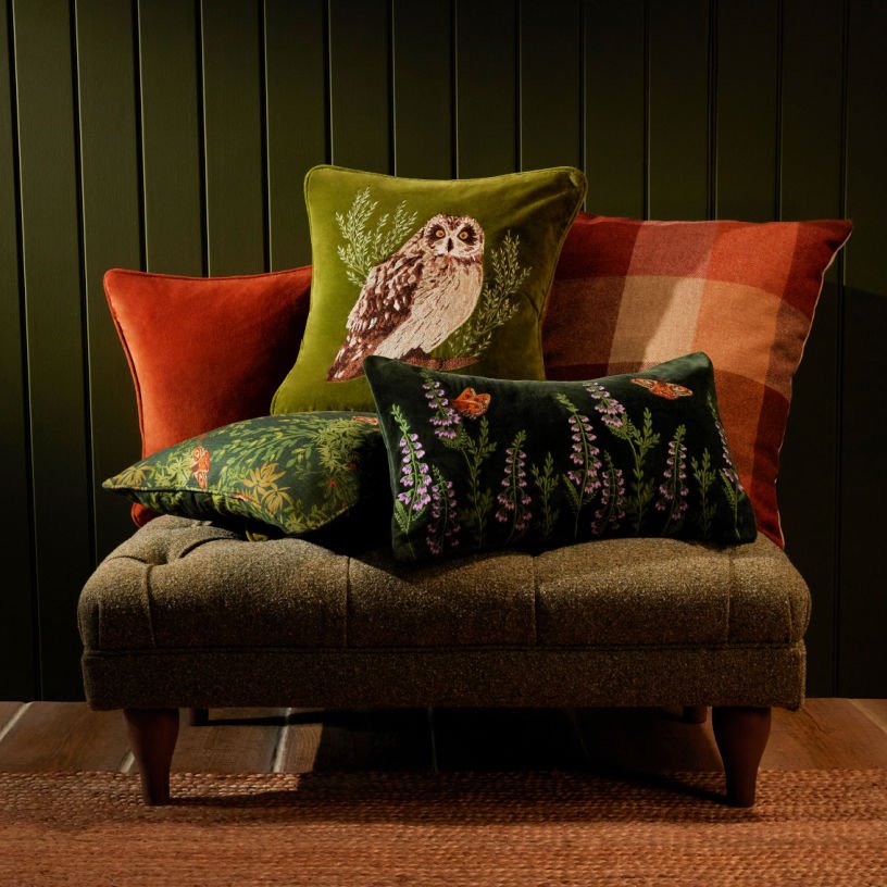 Dunelm x Natural History Museum Moorlands collection home decor chair and cushions