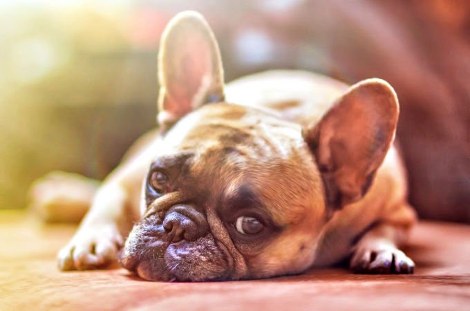 get out of that boring rut today