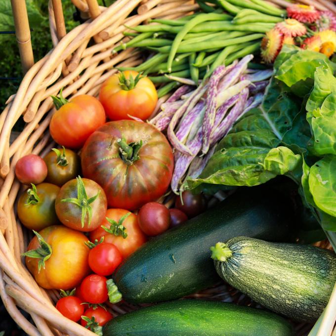 harvest from an allotment