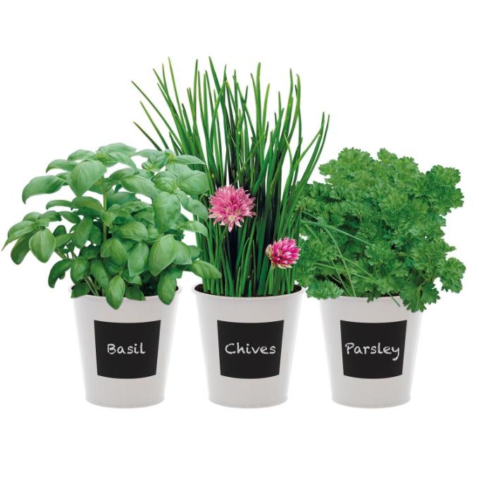 herb trio