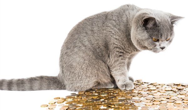 Jump Start January debt week debt repayment strategy