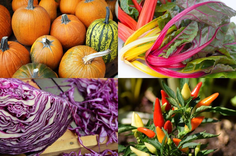 October British seasonal food vegetables