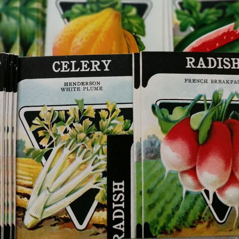 old seed packets for a kitchen garden December