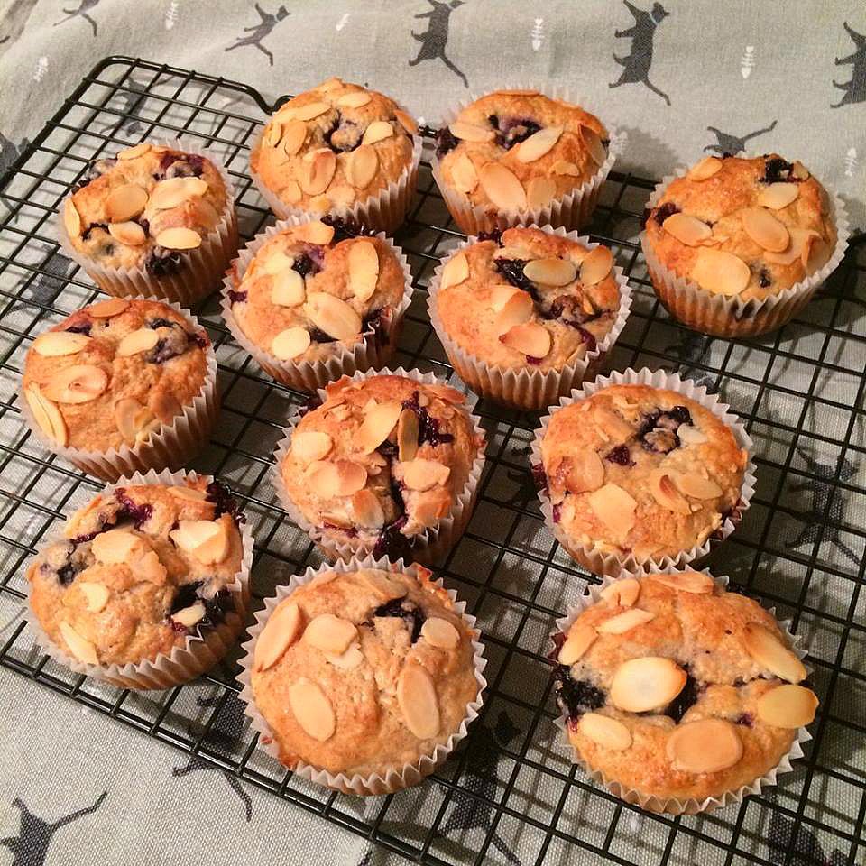 Penny Golightly improvised blueberry almond muffin recipe vegan with chia