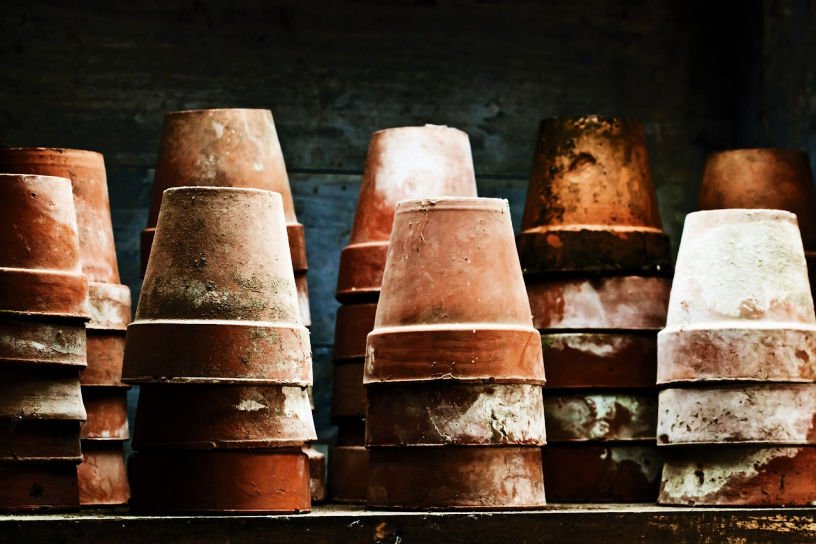 plant pots on shelf in shed in December kitchen garden