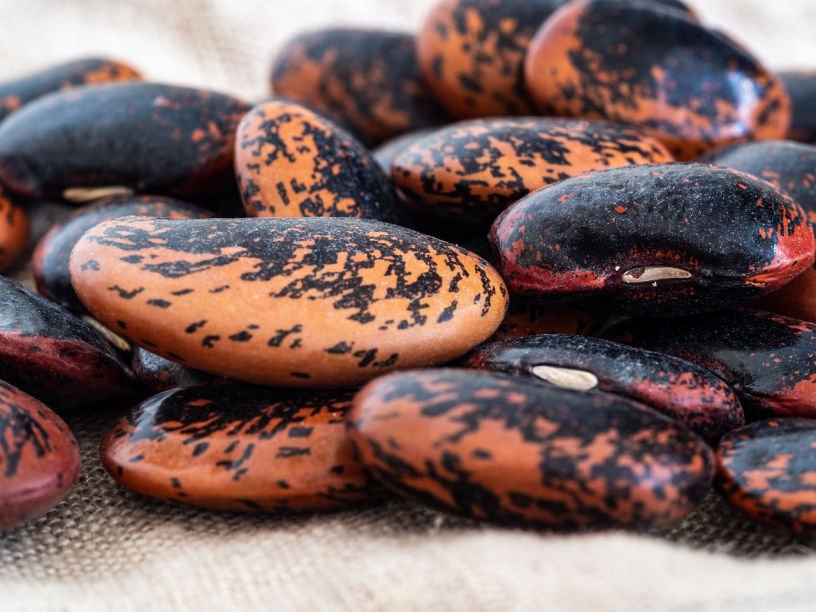 Runner bean seeds April what to sow now UK