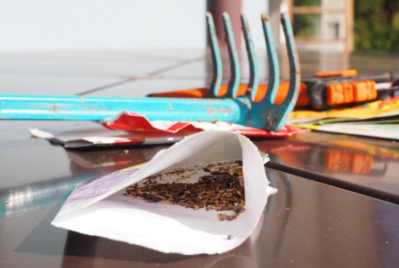 seed packet sowing seeds in March kitchen garden