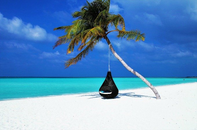 tropical holiday