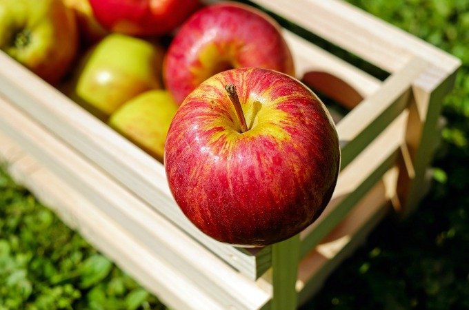 What to sow in October list of seeds kitchen garden allotment jobs to do this month